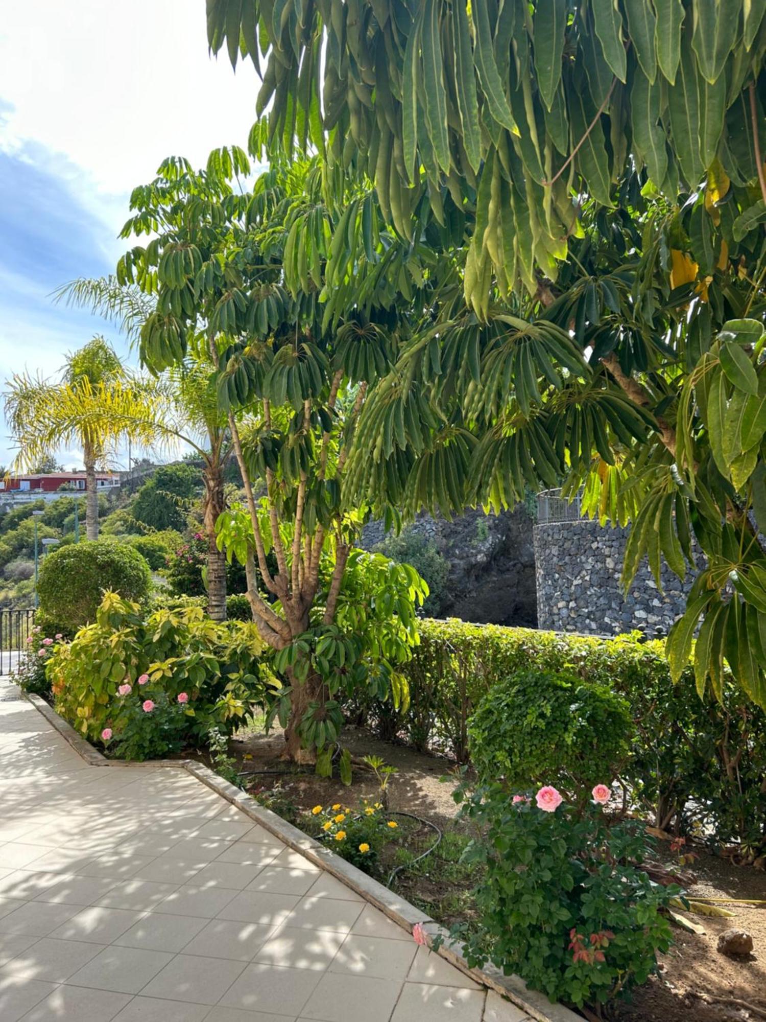 Hermosa Vista 拉克鲁斯 外观 照片